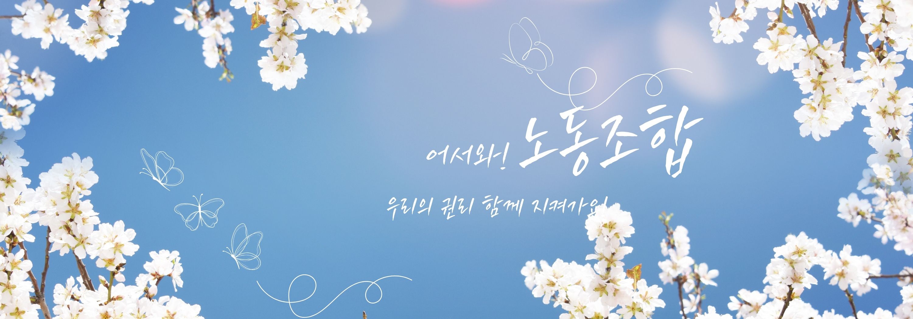 배너이미지 설명입력